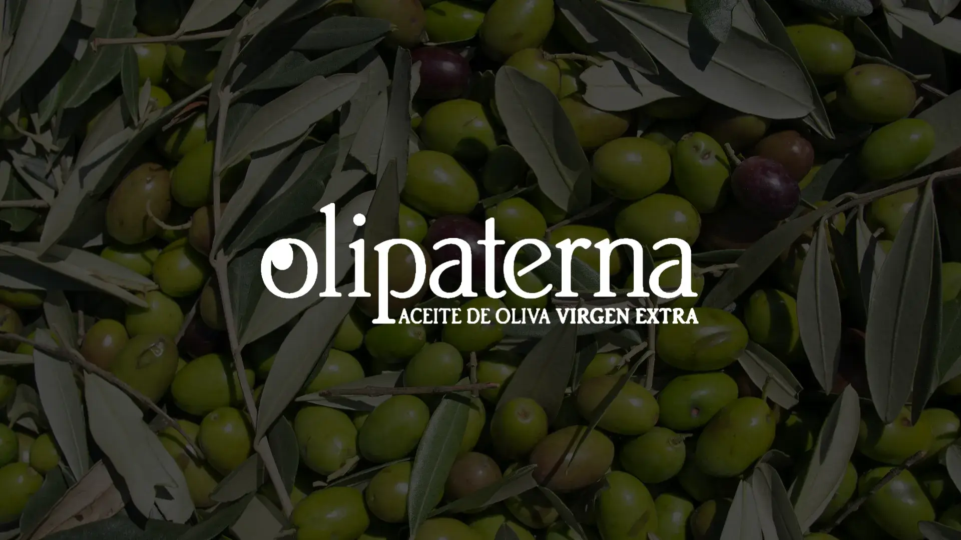 olipaterna