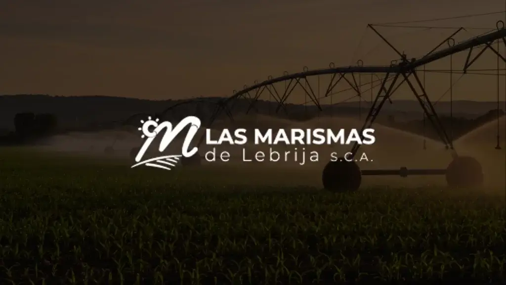 Marismas de Lebrija S.C.A