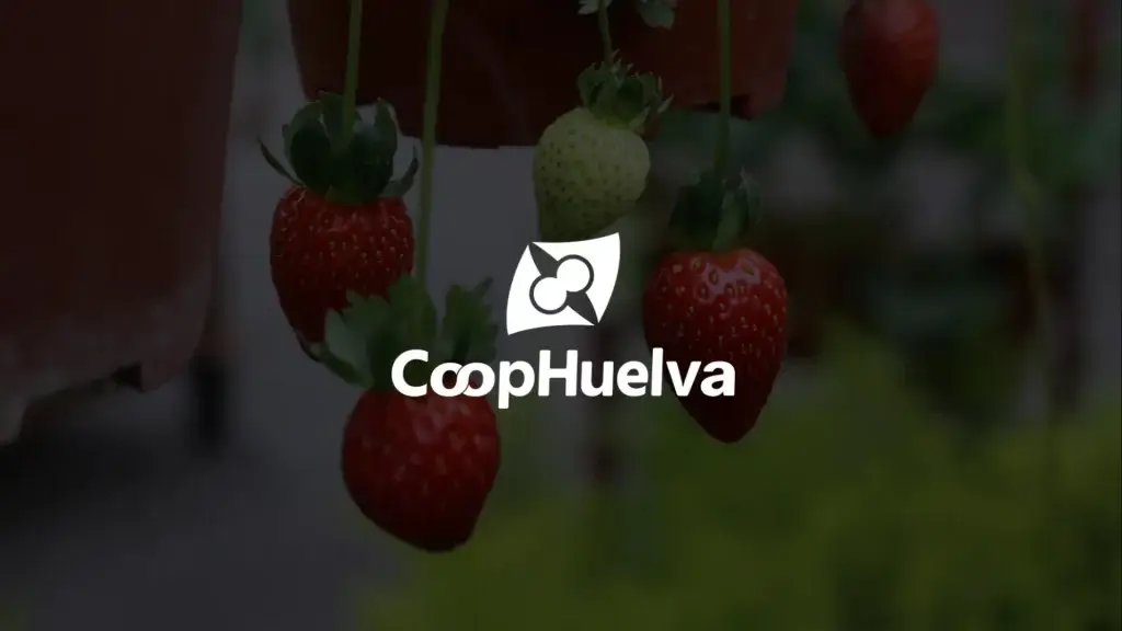 Logo de Costa de Huelva S.C.A., cooperativa agroalimentaria con presencia digital gestionada por IP10