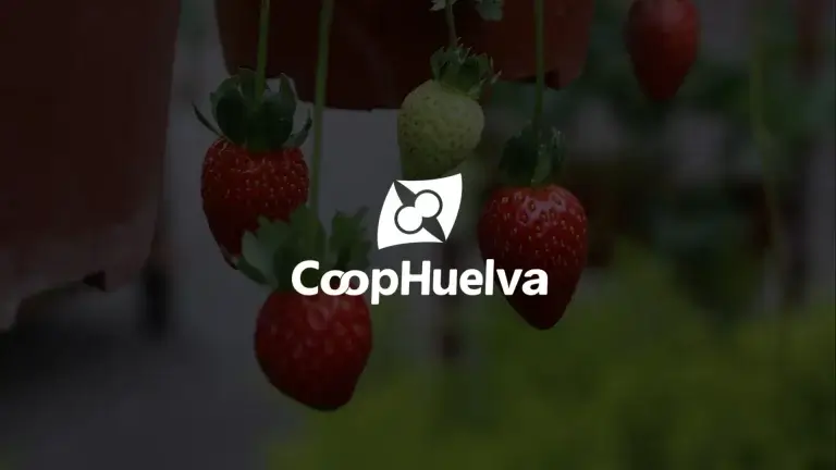 Logo de Costa de Huelva S.C.A., cooperativa agroalimentaria con presencia digital gestionada por IP10