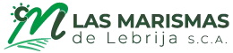Las Marismas de Lebrija S.C.A.